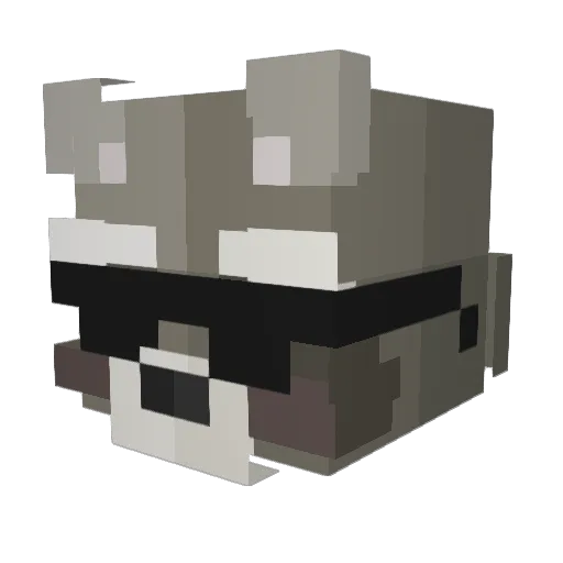 Sleepyracoon69 Minecraft avatar head, 3D render