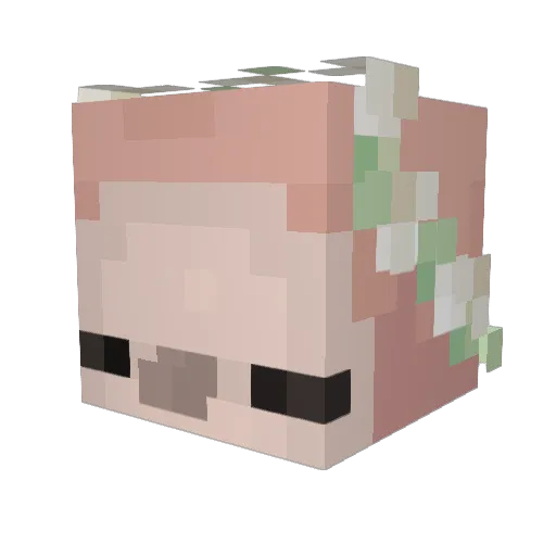 Sleepysloth626 Minecraft avatar head, 3D render