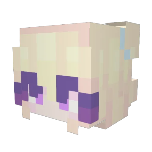 Sleepysnuggles Minecraft avatar head, 3D render