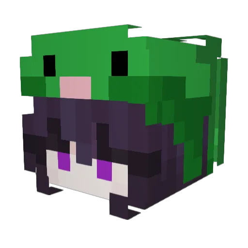 Sleepzin_00 Minecraft avatar head, 3D render