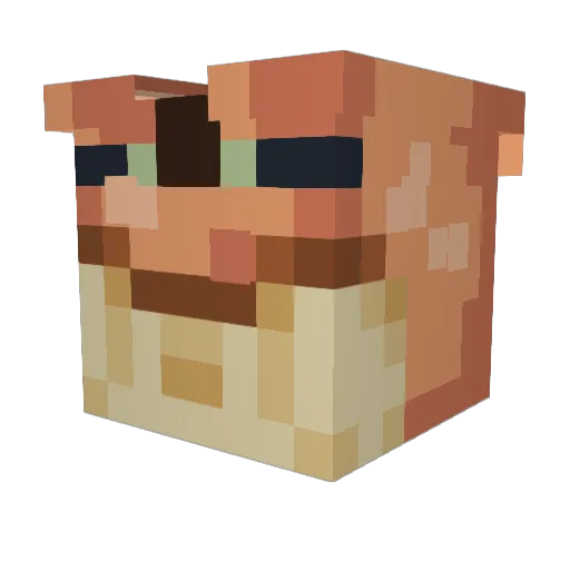 Sleerton Minecraft avatar head, 3D render