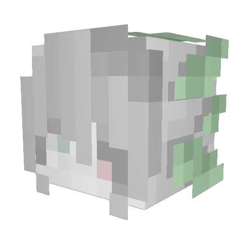 Sleimmy Minecraft avatar head, 3D render
