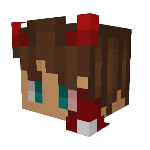 Sleimy_1749 Minecraft avatar head, 3D render