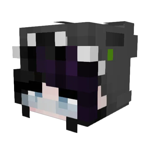 Slemmyyyy Minecraft avatar head, 3D render