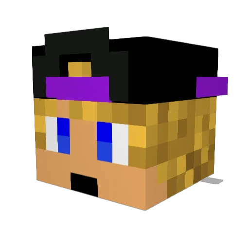 Slenderant1011 Minecraft avatar head, 3D render