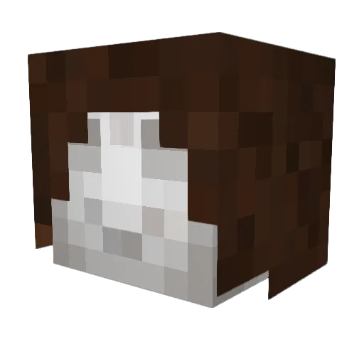 Slendergal121 Minecraft avatar head, 3D render
