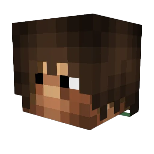 Slendrianer Minecraft avatar head, 3D render