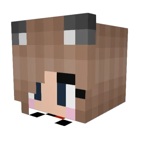 Sleppykitty4 Minecraft avatar head, 3D render