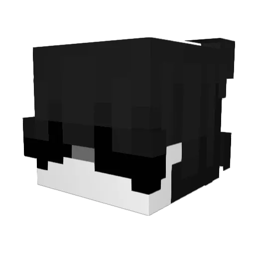 SlepyC Minecraft avatar head, 3D render