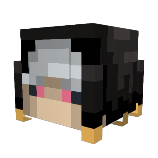 SlewedPlanet203 Minecraft avatar head, 3D render