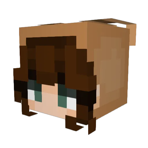 Slewyaa Minecraft avatar head, 3D render
