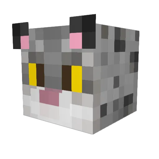 Slexer Minecraft avatar head, 3D render