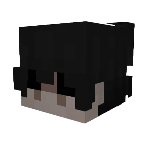 Sleyer15 Minecraft avatar head, 3D render