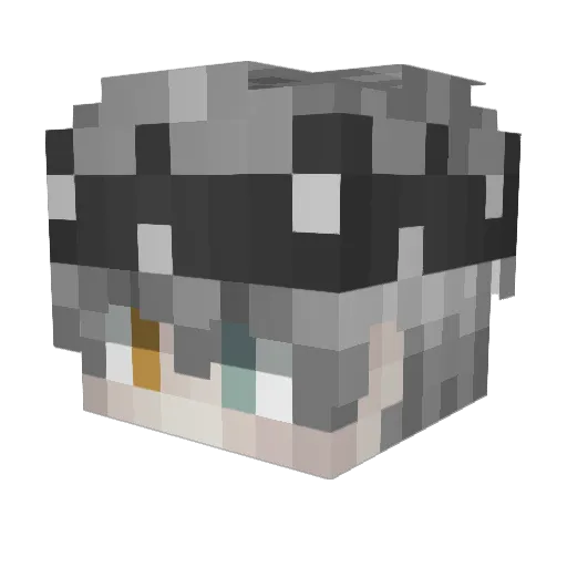 Sleyer997 Minecraft avatar head, 3D render