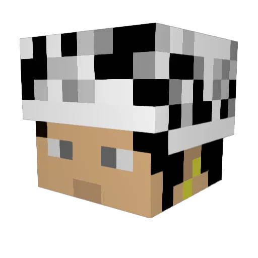 Sleyro Minecraft avatar head, 3D render