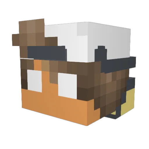 Sliby_ToMaTo Minecraft avatar head, 3D render