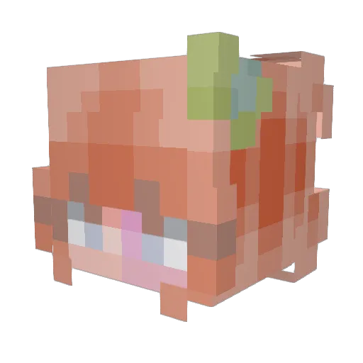 SlickDuchess889 Minecraft avatar head, 3D render