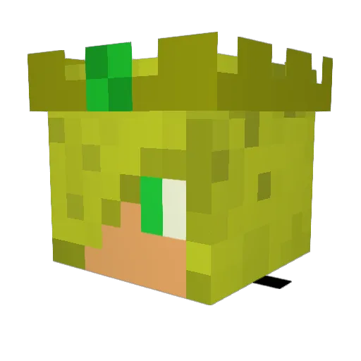 SlickMcDoopFoop Minecraft avatar head, 3D render