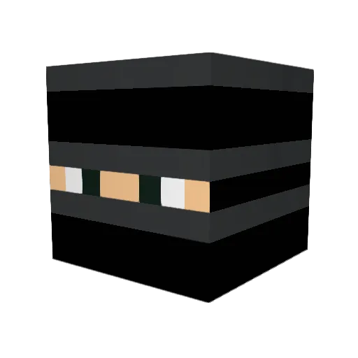 Slicker08 Minecraft avatar head, 3D render