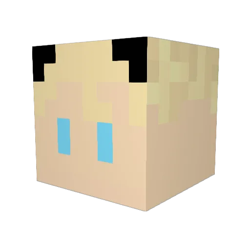 Slicktraxis Minecraft avatar head, 3D render