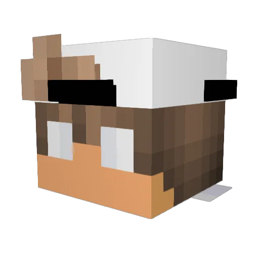 SlidDuckling632 Minecraft avatar head, 3D render