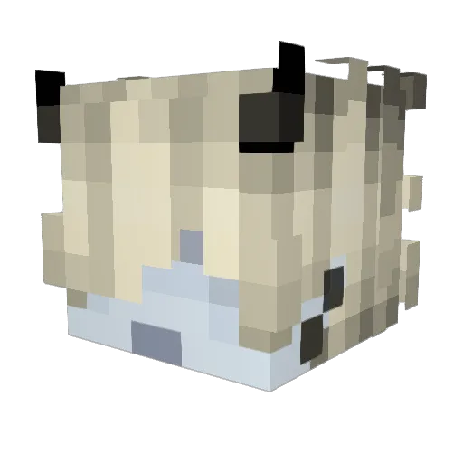 Slidius Minecraft avatar head, 3D render