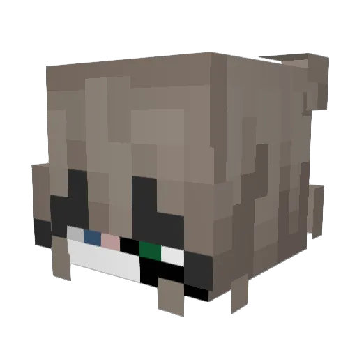 Slidly Minecraft avatar head, 3D render