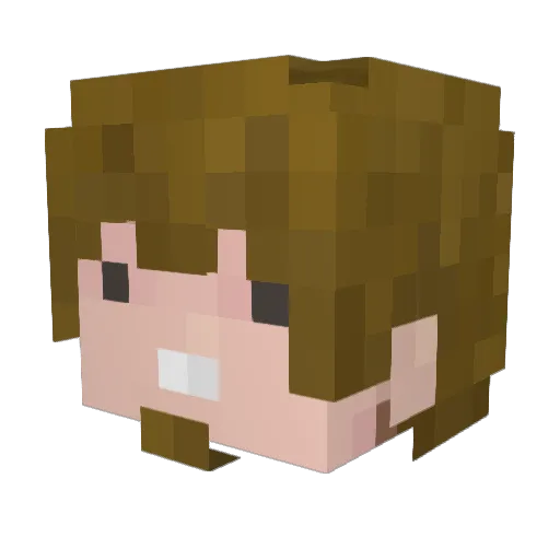 Slidrock Minecraft avatar head, 3D render