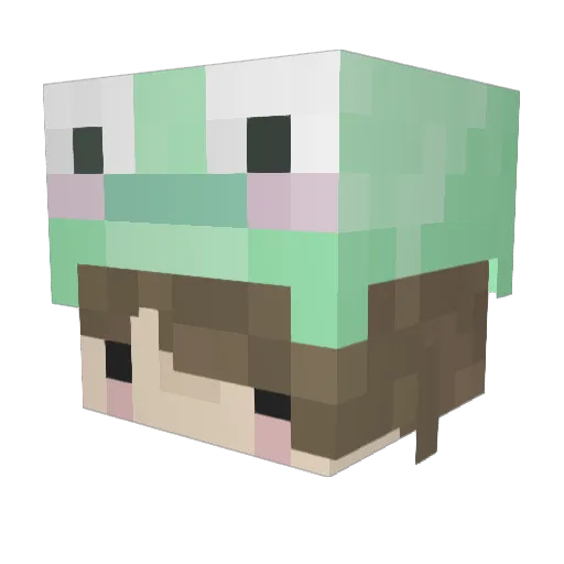SliferNoSwiping Minecraft avatar head, 3D render