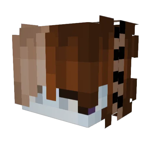 Sligershu Minecraft avatar head, 3D render