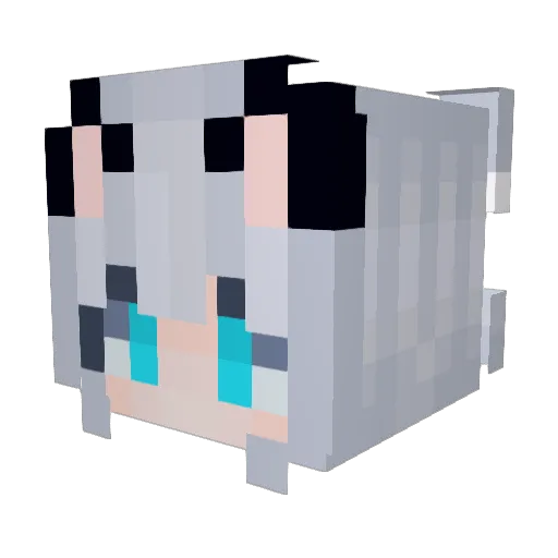 Sligger Minecraft avatar head, 3D render