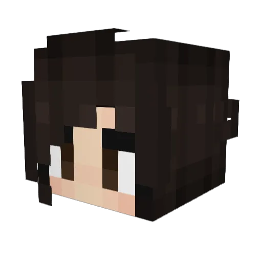 SlightlySavaged Minecraft avatar head, 3D render