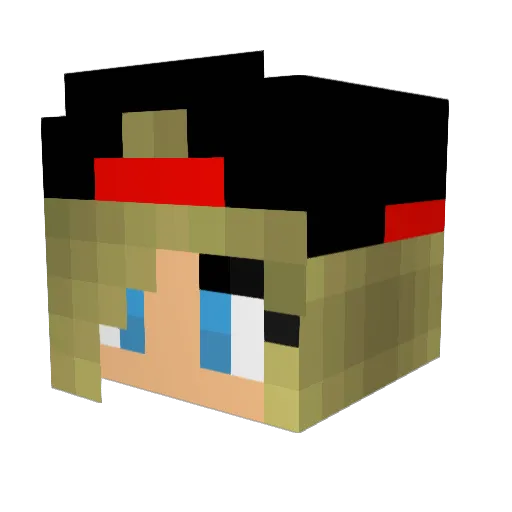 SlimShady19 Minecraft avatar head, 3D render