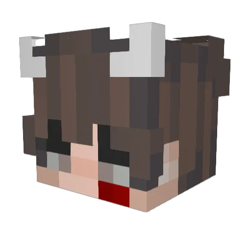 SlimShady777 Minecraft avatar head, 3D render
