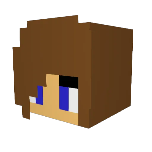 SlimShady91 Minecraft avatar head, 3D render