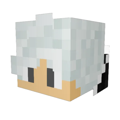 SlimTurtlexX Minecraft avatar head, 3D render