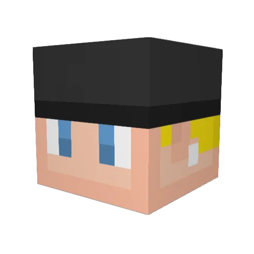 Slim_Shady_197 Minecraft avatar head, 3D render