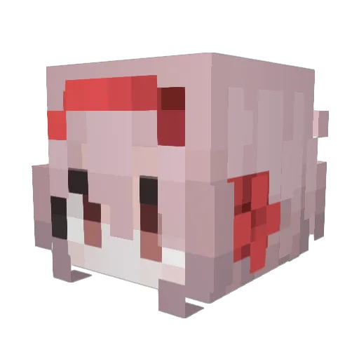 SlimeBunny77 Minecraft avatar head, 3D render