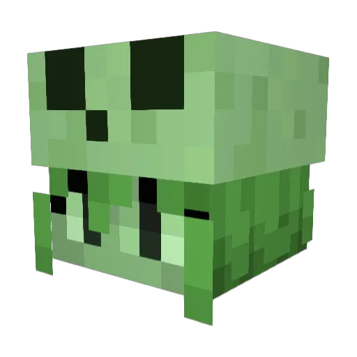 SlimeCatFenix Minecraft avatar head, 3D render