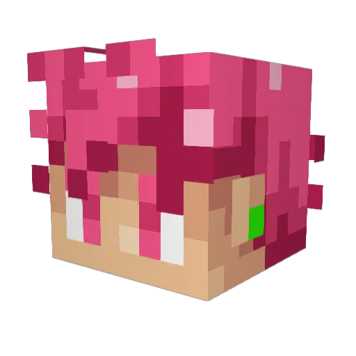 SlimeHamm11 Minecraft avatar head, 3D render
