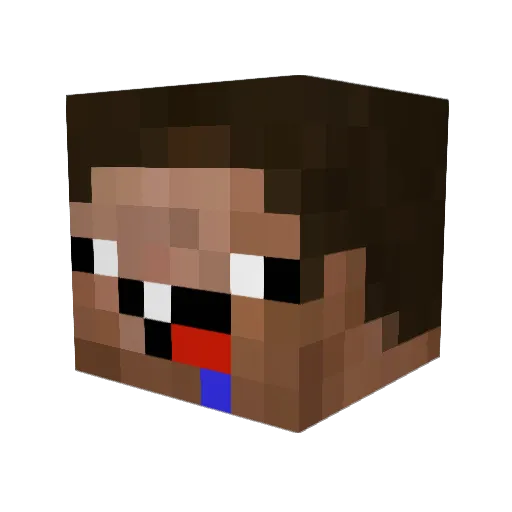 SlimeKiller904 Minecraft avatar head, 3D render
