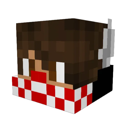 SlimeNotFound Minecraft avatar head, 3D render