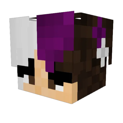 Slime_Hunter_92 Minecraft avatar head, 3D render