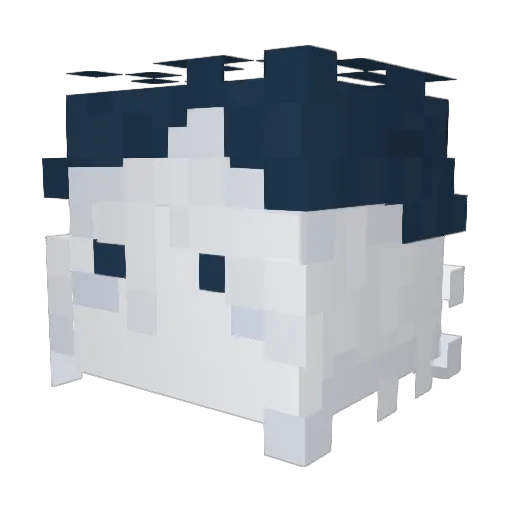 Slime_man21 Minecraft avatar head, 3D render