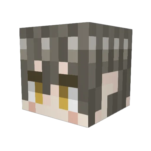 Slime_ye Minecraft avatar head, 3D render