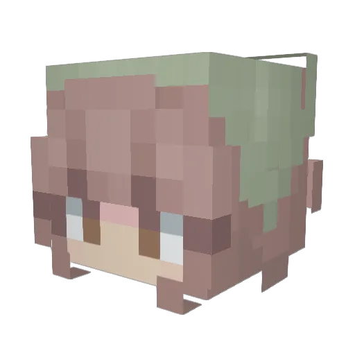 Slimeb007_ Minecraft avatar head, 3D render