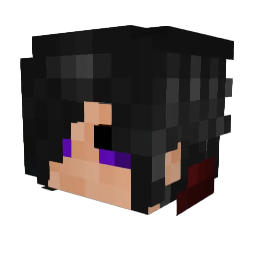 Slimelife00 Minecraft avatar head, 3D render