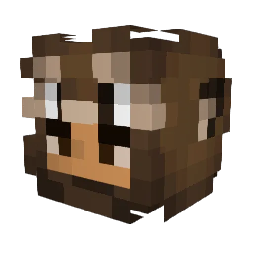 Slimer123 Minecraft avatar head, 3D render