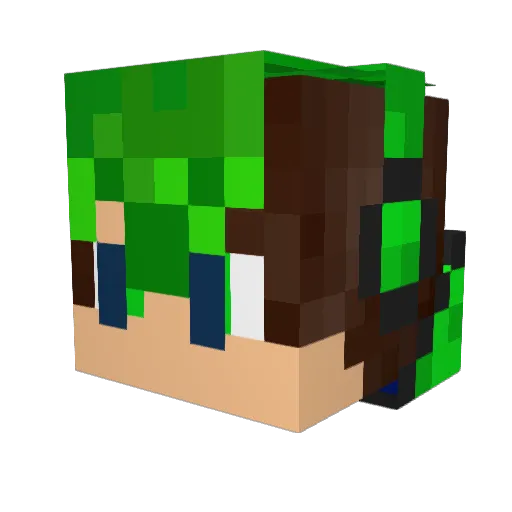 Slimey732 Minecraft avatar head, 3D render