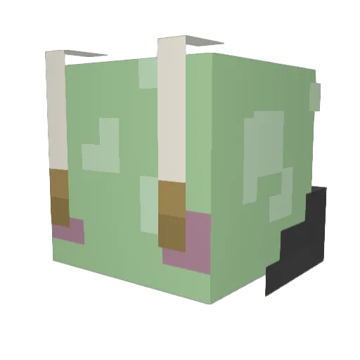 SlimmySnail Minecraft avatar head, 3D render